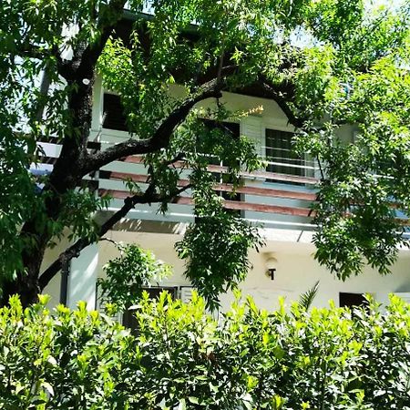 Felix Apartment Biograd Биоград на Мору Екстериор снимка