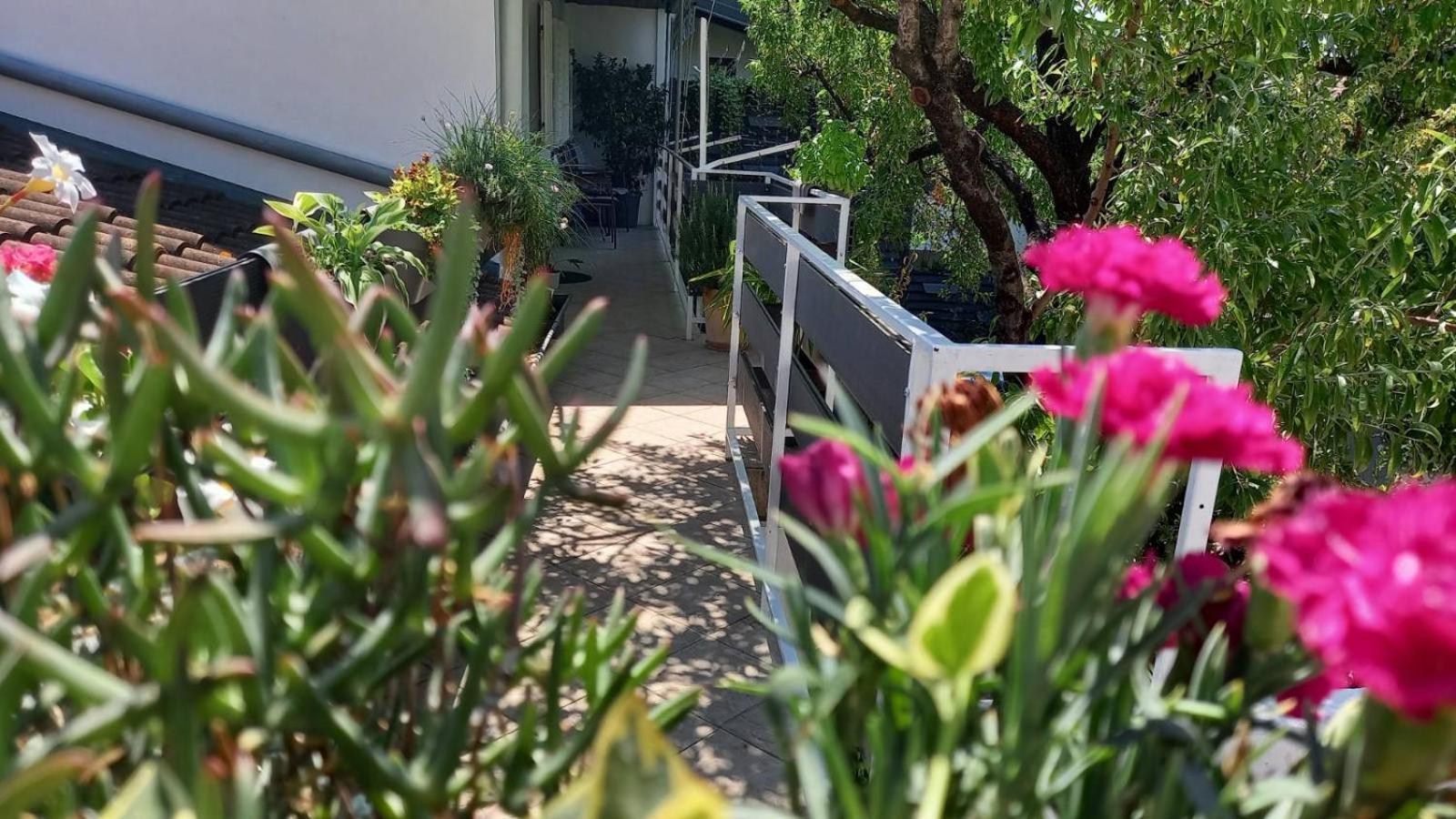 Felix Apartment Biograd Биоград на Мору Екстериор снимка